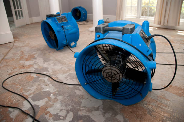 Best Local water damage restoration  in Creighton, NE