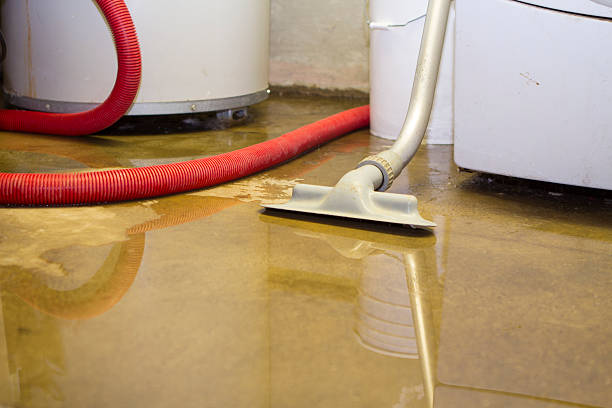 Best Sewage cleanup and water damage restoration  in Creighton, NE