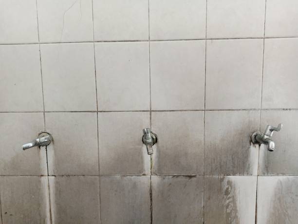 Best Residential water damage restoration  in Creighton, NE