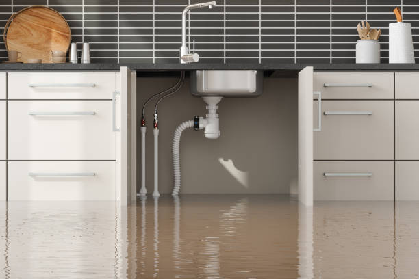 Best Water damage restoration near me  in Creighton, NE